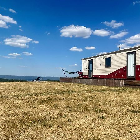 Mountaintop Panoramaview Casa In Bihor Apuseni Vadu Crisului Eksteriør billede